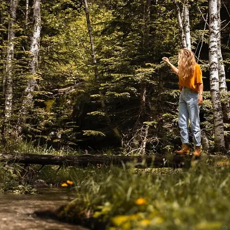 Apartment Mitteraubach