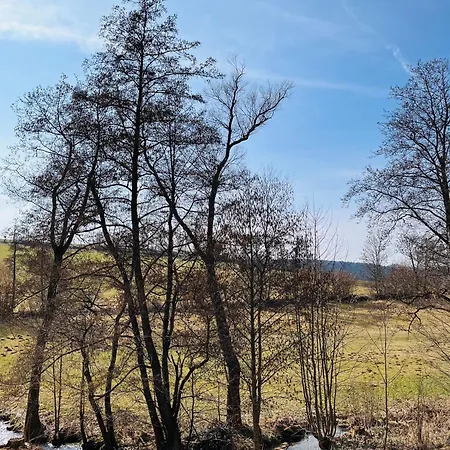 Mitteraubach Daire Jandelsbrunn