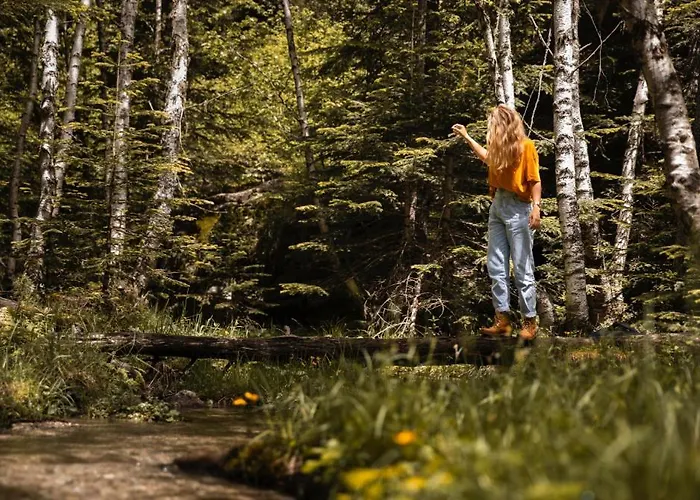 Апартаменты Mitteraubach